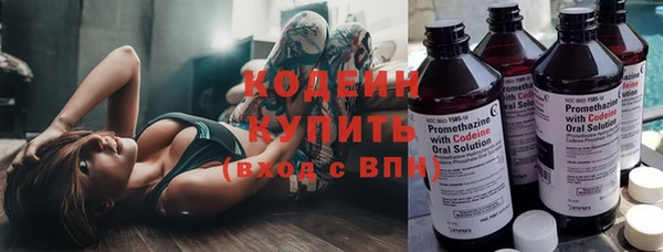 прущие грибы Абаза
