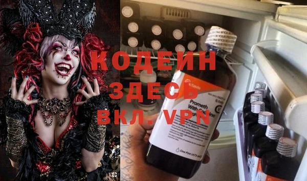 прущие грибы Абаза