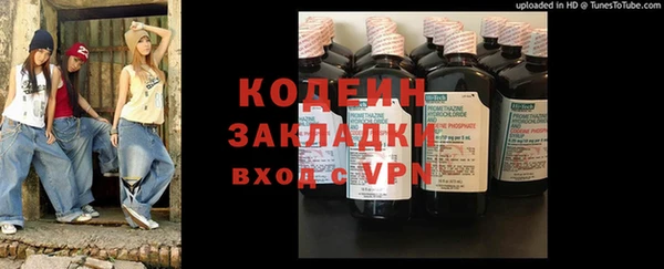 прущие грибы Абаза
