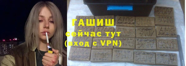 прущие грибы Абаза