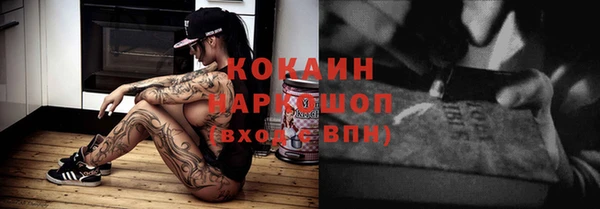 прущие грибы Абаза