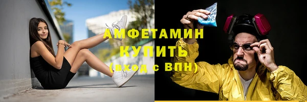 прущие грибы Абаза