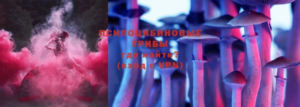 соль ск Абдулино