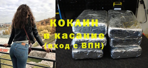 прущие грибы Абаза