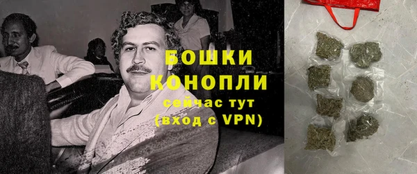 прущие грибы Абаза