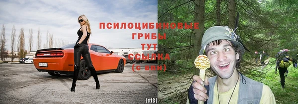 apvp Абинск