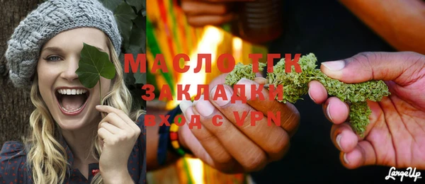 прущие грибы Абаза