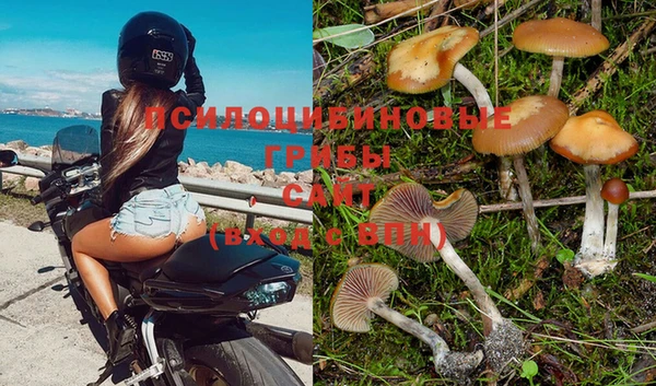 apvp Абинск