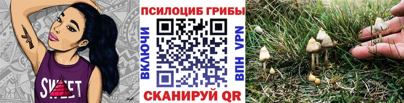 Псилоцибиновые грибы ЛСД  Кадников 